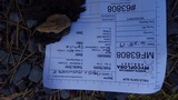 Fomitopsis mounceae image