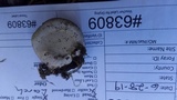 Fomitopsis mounceae image