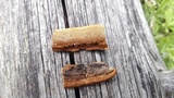 Osmoporus mexicanus image