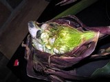 Ustilago maydis image