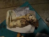 Amanita ravenelii image