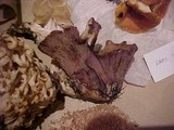 Gomphus clavatus image