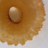 Cordyceps militaris image