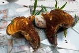 Coltricia duportii image