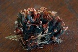 Diderma globosum image
