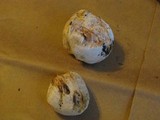 Entoloma abortivum image