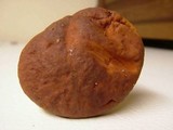 Leccinum rubropunctum image