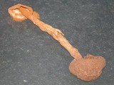 Battarrea phalloides image