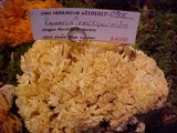 Ramaria rasilispora image