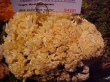 Ramaria rasilispora image