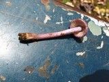 Inocybe lilacina image