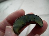 Boletus luridiformis image