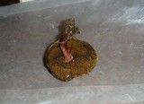 Boletus chrysenteron image