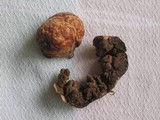 Protubera maracuja image