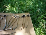 Panaeolus cinctulus image