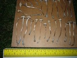 Panaeolus cinctulus image