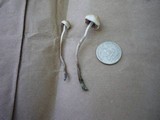 Panaeolus cinctulus image
