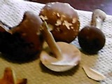 Tylopilus rubrobrunneus image