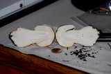 Amanita aprica image