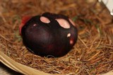 Russula queletii image
