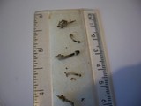 Mycena inclinata image