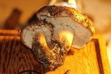 Tricholoma fracticum image