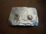 Psilocybe crobula image