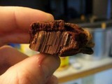 Phellinus everhartii image