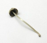 Coprinellus impatiens image