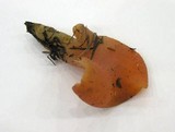 Guepinia helvelloides image