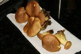 Boletus luridellus image