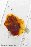 Hypoxylon petriniae image