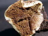 Lycoperdon curtisii image