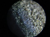 Glutinoglossum glutinosum image