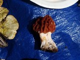 Gyromitra caroliniana image
