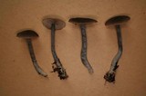 Entoloma approximatum image