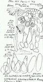 Coprinellus xanthothrix image