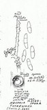 Neonectria neomacrospora image