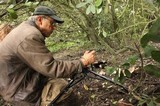 Agaricus lilaceps image