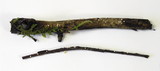 Dasyscyphus bicolor image