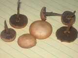 Stropharia coronilla image