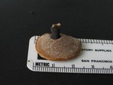 Polyporus guianensis image