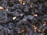 Collema auriforme image