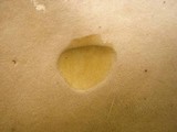 Tylopilus rubrobrunneus image