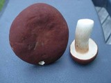 Xanthoconium purpureum image