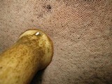Tylopilus rubrobrunneus image