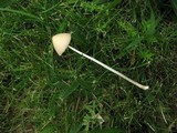 Conocybe apala image