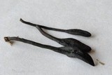 Geoglossum difforme image