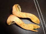Suillus decipiens image