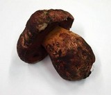 Boletus legaliae image
